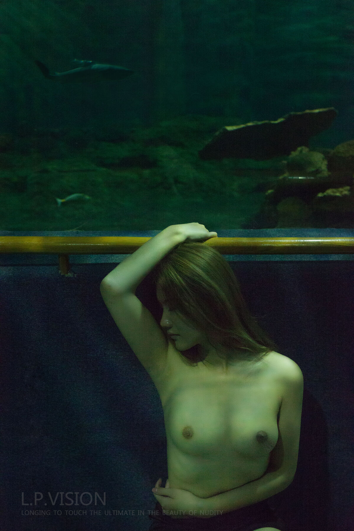 鬼怪第一季在线观看免费