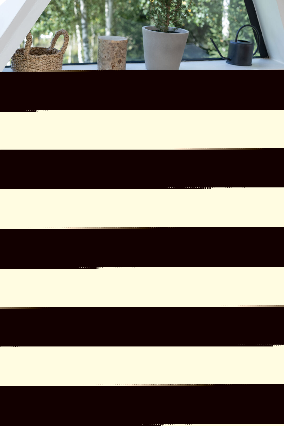 免费视频在线观看无遮掩